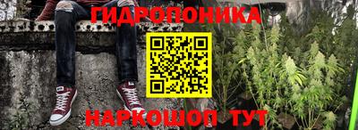 гашишное масло Аргун